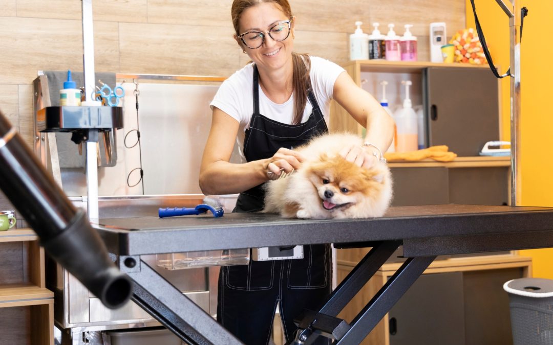 How Pet Care Franchises Are Capitalizing on the $100  Billion Pet Industry 